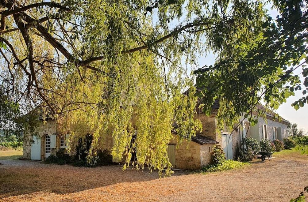 Clair De Vigne Hotel มงบาซิญัค ภายนอก รูปภาพ